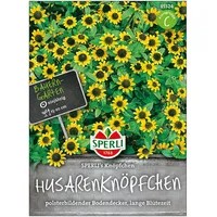Tom-Garten Husarenknopf Knöpfchen
