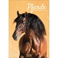 Korsch Verlag Pferde 2026