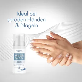 provilea Meersalbe 100 ml