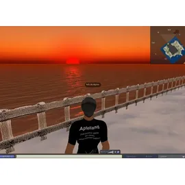 Second Life - Starterpack (PC/Mac)