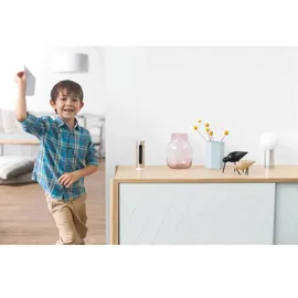 Netatmo Welcome NSC01-EU