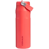 Stanley - Isolierflasche ICEFLOWTM BOTTLE FLIPSTRAW | 0,7L Trinkflaschen
