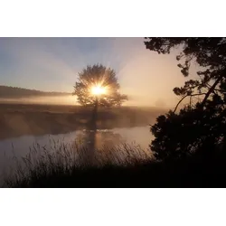 Fototapete PAPERMOON "Fluss Sonnenaufgang", bunt (mehrfarbig), B:4,5m L:2,8m, Vlies, Tapeten