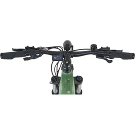 Prophete Stack 5.0 Full-Suspension Resedagrün Matt 29 Zoll
