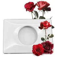 Blanc HYGIENIC Hygienetütenspender FIX, für Damenhygienebeutel/-tüten, Wandmontage