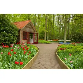 Rollboarder 40 cm Ø 6 cm, 250 x 40 cm, kesseldruckimprägniert