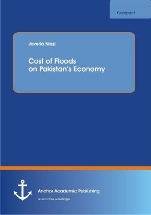 Anchor Compact / Cost Of Floods On Pakistan's Economy - Javeria Niazi  Kartoniert (TB)