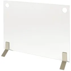 EcoSmart Schutzglas Plasma
