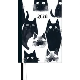 DuMont Buchverlag DUMONT - Cats Taschenkalender 2026 – Terminplaner mit Wochenkalendarium – 11 x 16 cm – Für Katzen-Fans mit White Cat-Motiven