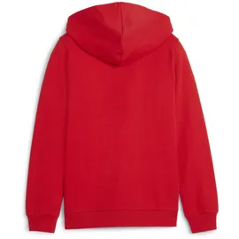 Puma teamGOAL Casuals Hooded Jacket Jr Rot 164