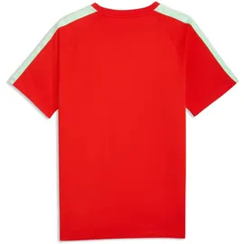 Puma SFV King Tee rot S