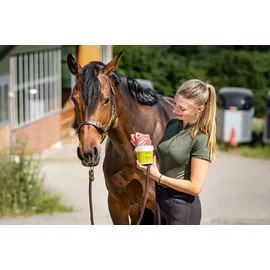 Zedan SP Insekten-Gel 500 ml