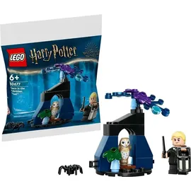 LEGO Harry Potter Draco im Verbotenen Wald 30677