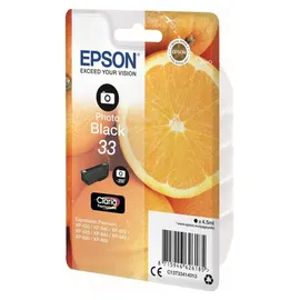 Epson 33 photo schwarz