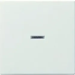 Kontrollwippe Schalter System 55 rws glz