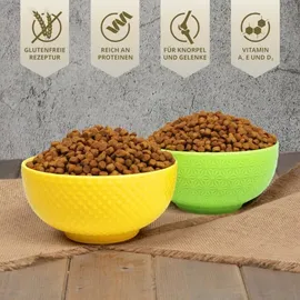 Lyra Pet 2,5 kg Lecker.Pet® Balu's Indoor Geflügel Katzenfutter Trockenfutter Vollnahrung + 2 Mäuse