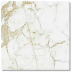 Musterfliese Belvit Genova Gold Marmor Glanz 60x60cm