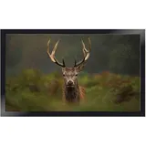 Siena Garden Siena Home Fußmatte Peva Moose 45 x 75 cm