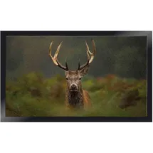 Siena Garden Siena Home Fußmatte Peva Moose 45 x 75 cm