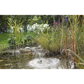 PONTEC Pondo Solar 150