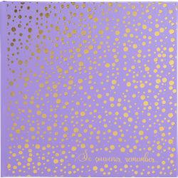 Exacompta, Fotoalbum, Fotoalbum Plum, 250 x 250 mm, violett / gold