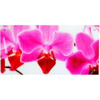 MCW Glasbild T114, Wandbild Poster Motiv, 50x100cm ~ Orchidee