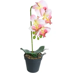 K ̧nstliche Orchidee Rosa im Topf Hˆhe 40 cm Kunstblume Pflanze