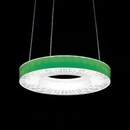RIDI Homelight Ridi-Leuchten Einlegefolie IRIS-O-L FOLIE GRÜN