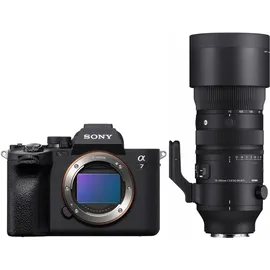 Sony Alpha 7 IV+ Sigma 28-105mm 