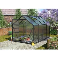 Vitavia Gewächshaus Calypso 5800 Schwarz 5,8 m2 inkl. Fundament