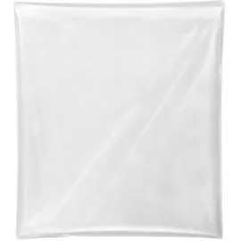 Festool Entsorgungssack ENS-VA-20/10