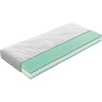 BADENIA Trendline BT 310 140 x 200 cm H2