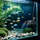Wiltec SunSun JVP-200A Strömungspumpe 5000 l/h 7 W Aquarium Pumpe mit 2 schwenkbaren Düsen und Saugnapf zur einfachen Befestigung