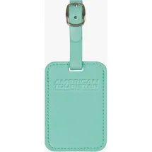American Tourister Gepäckanhänger 2er-Pack, (Jelly Mint