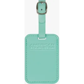American Tourister Gepäckanhänger 2er-Pack, (Jelly Mint