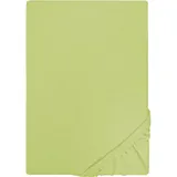 Castell Spannbettlaken Jersey 140 x 200 - 160 x 200 cm pistaziengrün