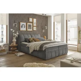 Stella Trading Mid.you Boxbett 160 x 200 cm Grau
