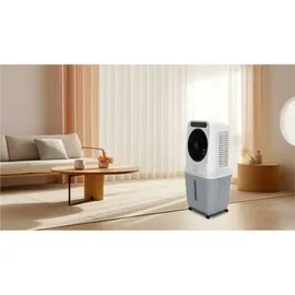 Be Cool Luftkühler 90 W 25 l Wassertank Wifi