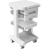 Medizinischer Wagen mit 2 Schubladen, Kosmetikwagen Salonwagen, Beauty Salon Trolley mit Rädern, Friseur Rollwagen, Gerätewagen mit Ablagefach & Bremsrad