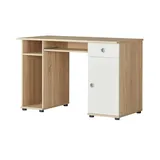 Möbel Kraft Schreibtisch ¦ holzfarben ¦ Maße (cm): B: 120 H: 78 T: 60.0