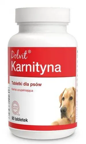 Dolvit Carnitin 90 Tabletten (Rabatt für Stammkunden 3%)