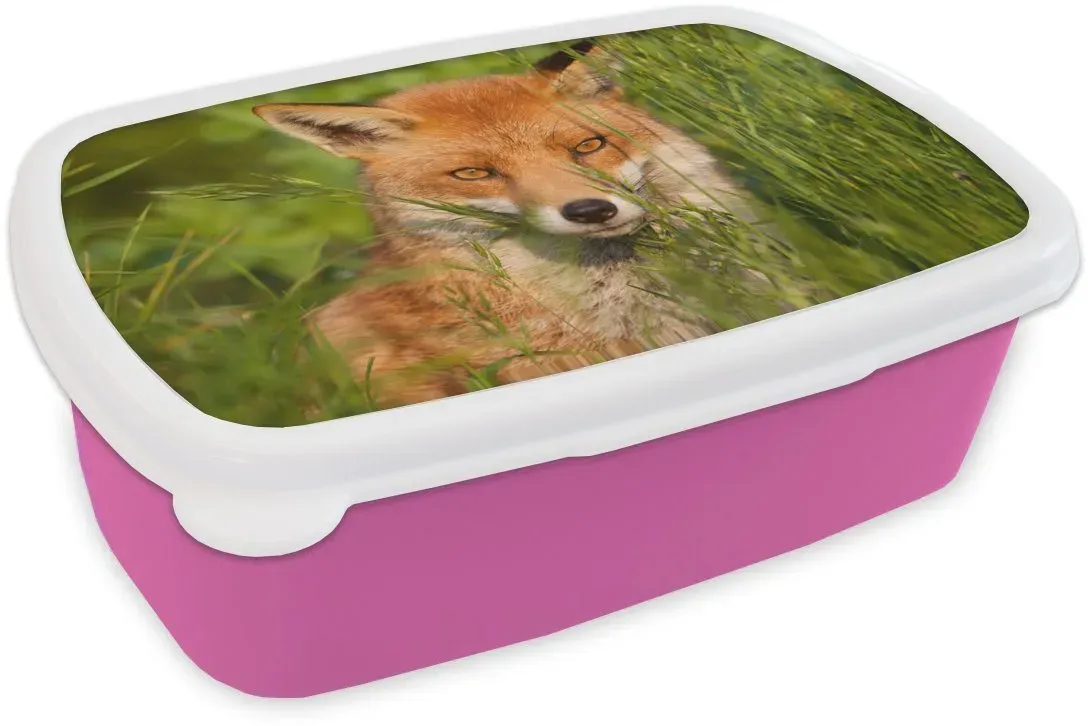 Preisvergleich Produktbild MuchoWow Lunchbox Rotfuchs - Gras - Augen rosa