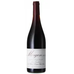 Morgon 2023 - Jean Foillard