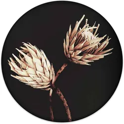 Reinders! Wandbild »Wandbild Trockenblumen Exotisch - Vintage - Protea«, Blumen, (1 St.) Reinders! Farbe Bild(er): schwarz
