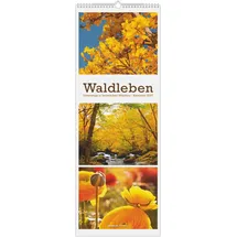 ALPHA EDITION GmbH & Co. KG Waldleben - Triplets 2027 Streifenkalender 25x69 cm Hochformat