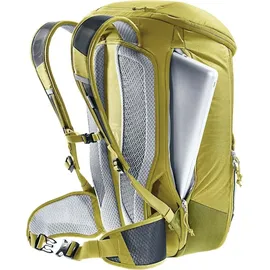 Deuter Rotsoord 25+5 linden-cactus