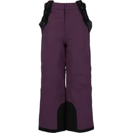 ZigZag Provo Skihose Lila 98
