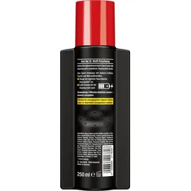 Alpecin Sport Coffein-Shampoo CTX 250 ml