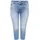ONLY CARMAKOMA Damen Carwilly Reg Waist DNM Capri Noos Jeans, Light Medium Blue Denim, 52 EU