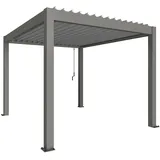 Biohort Pergola 3 x 3,5 m Grau/Silber